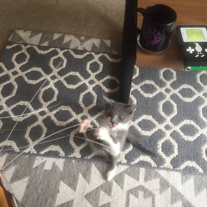 D9d75b48 c00c 4a87 a389 abe807eca9f8