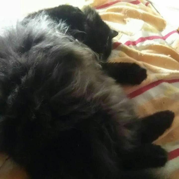 D9d7c1a9 37b2 4440 9139 eabe6829d539