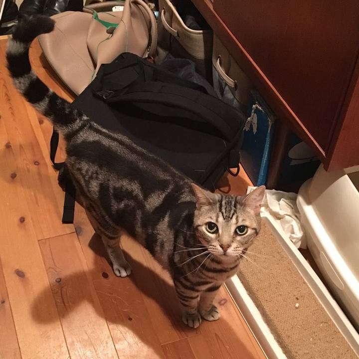 D9d7e42f 7d52 41b7 be99 73ffc4f094bf