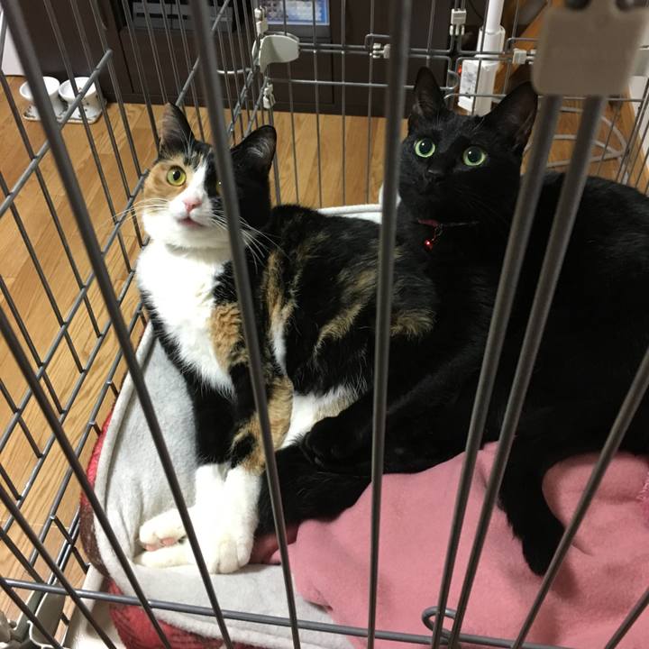 D9d8b66f ddf7 4182 bd79 ac623ab9cadb