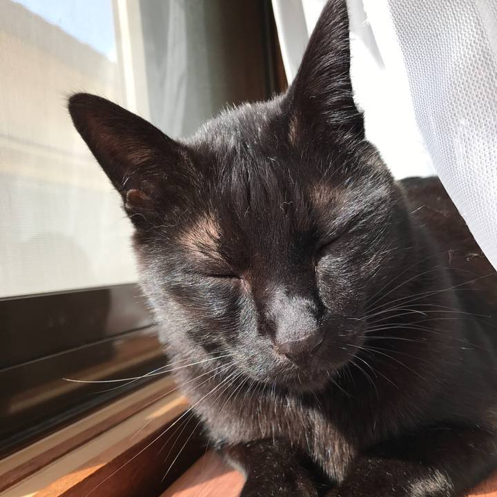 D9d8c09d cfb6 4c5b a8f6 c558bf4e9111