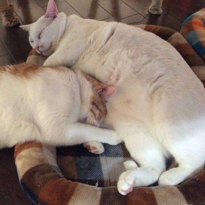 D9d95285 c4a6 4b18 b3a4 98d0ff3b5951