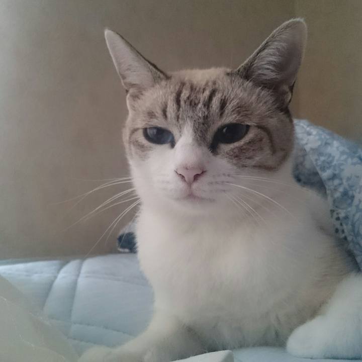 D9d968c3 5a73 47e4 9bef 2f2f9a03d26a