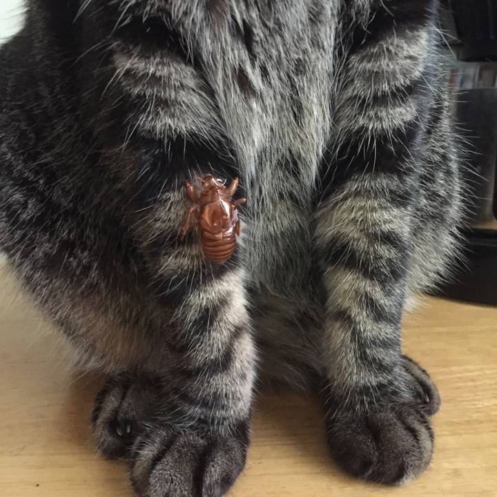 D9dae28d ec68 4421 b171 e9d41eaffe30