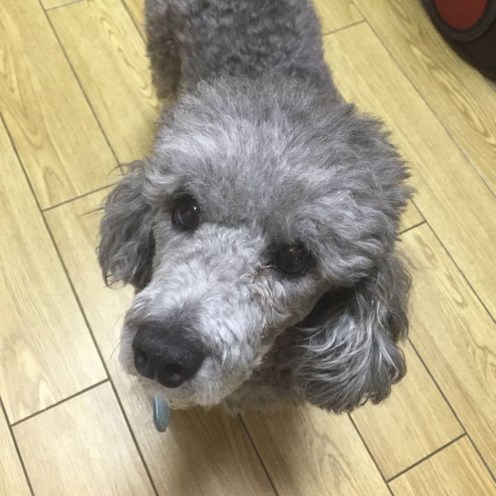 D9db06c4 70d8 4c51 8473 050c9351421e