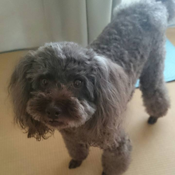 D9db520c d1a3 43d2 a624 ddee83aa0edf