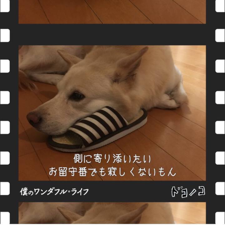 D9db6ade a5cb 44ef 9001 e1090fcd531b