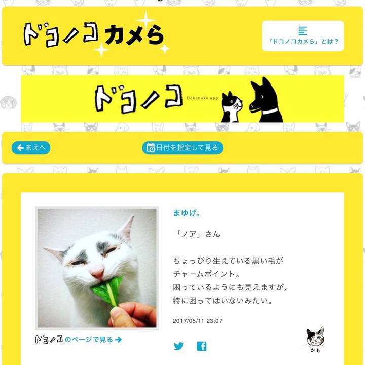 D9dc5565 bd24 4481 93d7 c5a0744cb1d4