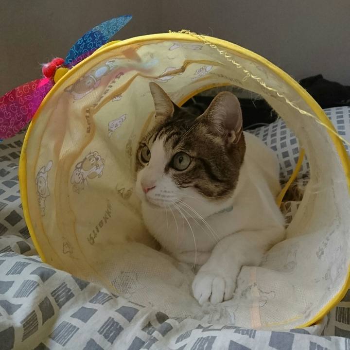 D9dc6653 d4e1 46fa b8cd 919d1910a724