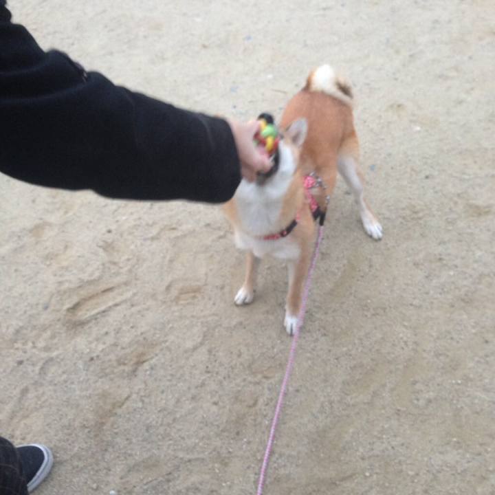 D9dc7c27 eb83 4e2d a21a 86c068481d7b