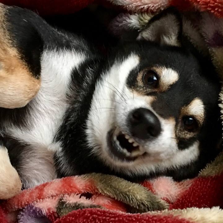 D9dd0b5b f51b 4eb8 bb41 bfa7ff879df7