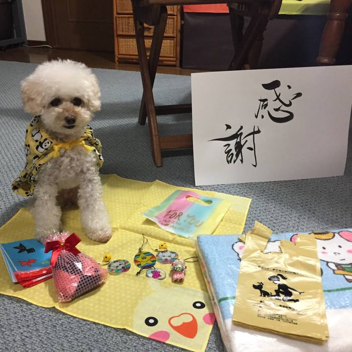 D9dd141f 8254 4b34 855a c8f09390e961