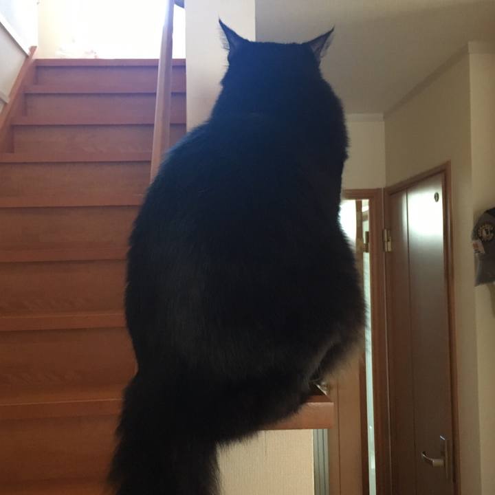 D9dd17ca d3a1 4a2e a315 ba41fcd2f582