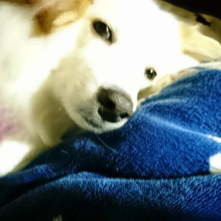 D9ddb0b6 8b3e 4208 bdb9 a20afd12bf41