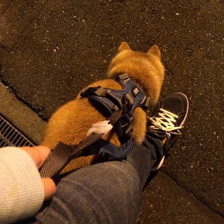 D9dde446 1b30 4b1f a658 15db8d87da65