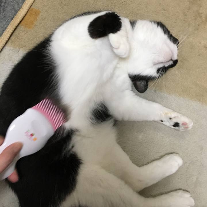 D9de9001 0312 4d15 abfe 31e3805fad29