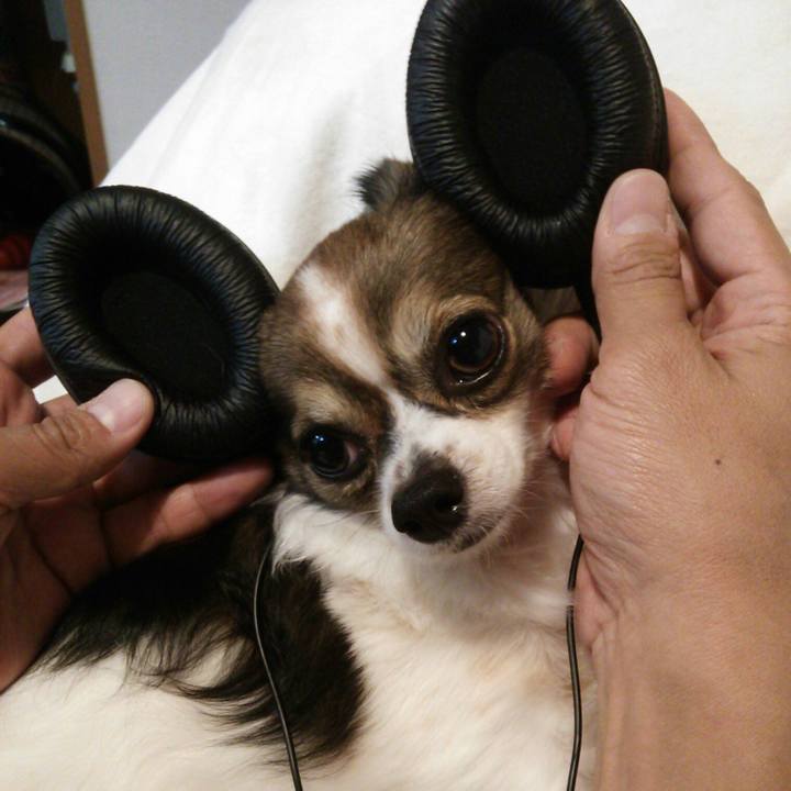 D9de9446 c8eb 409b 9058 35b4481eb5dd