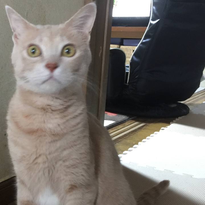 D9df1c5c 239f 418f a05a 2c2da07a0d57