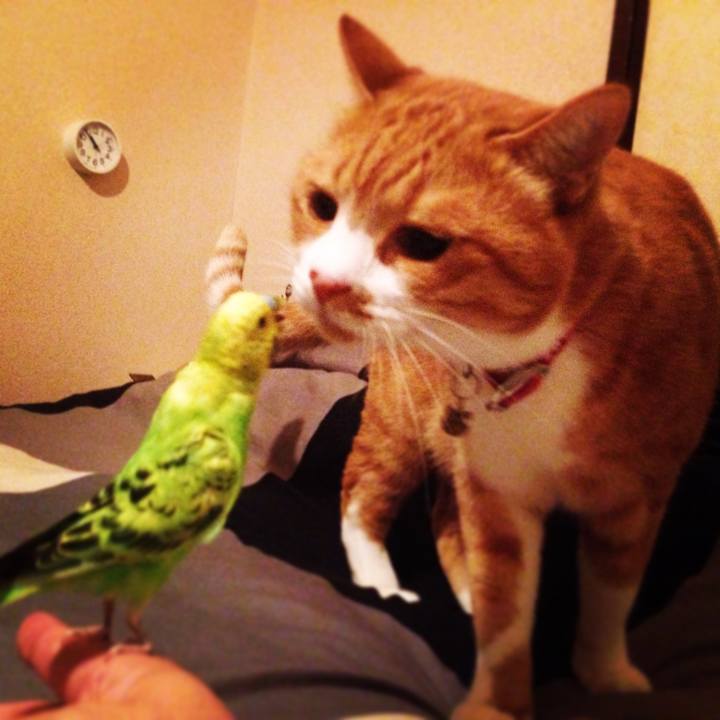 D9df578a 962d 48e5 9109 96d1f19bcd8e