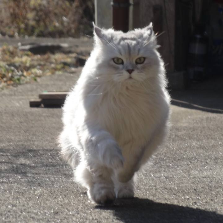 D9dfc96c 7c4f 440d 8b0d 8fc218643a86