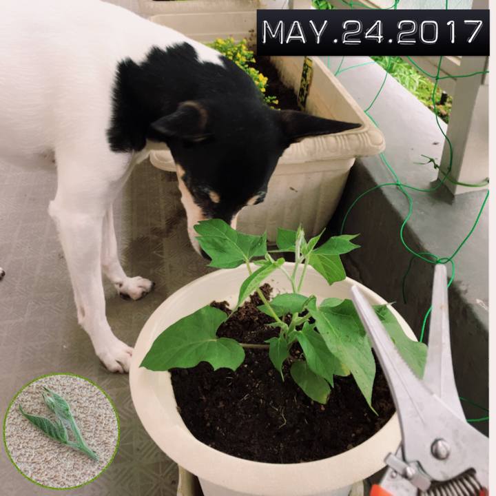 D9e034cf 498c 41d8 957f 039cc70c2eb6