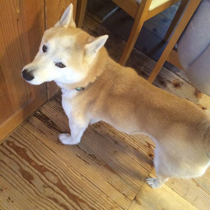 D9e04a57 1b1c 44bd a36e 275f921c103e