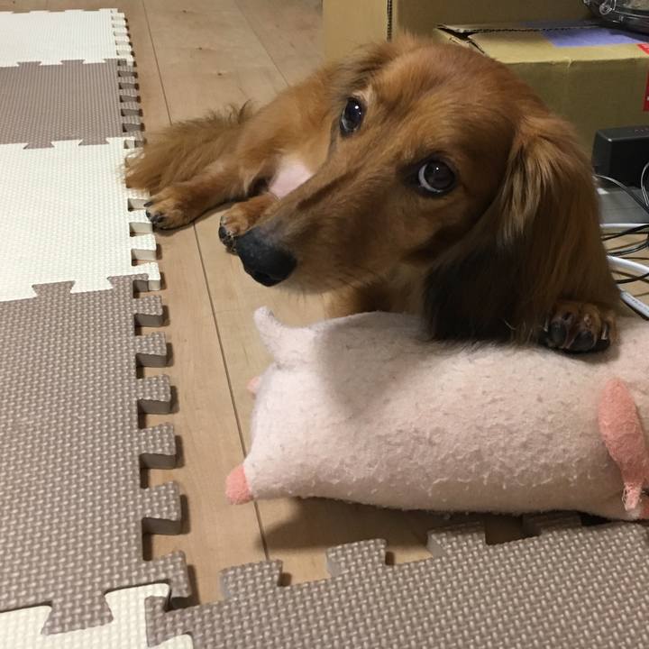 D9e0668e 69f1 4f7c a844 b4c6e9fe3a22