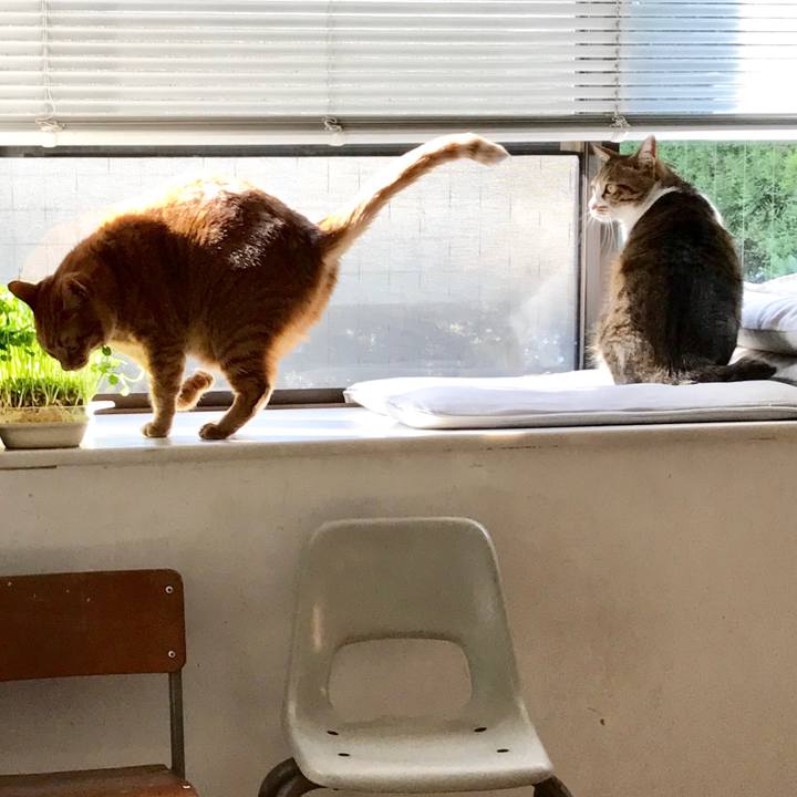 D9e0ee1f 08fd 4355 9194 7e06c959b3f0