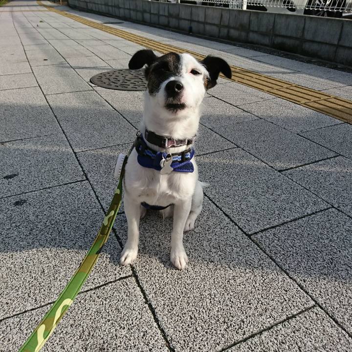 D9e1555d 6846 470e 86ed 70dea758830b