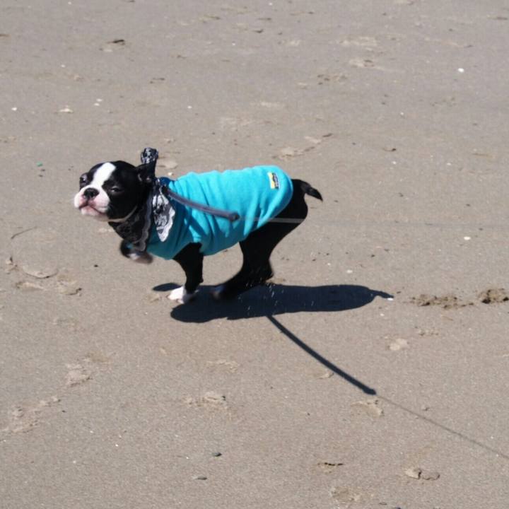 D9e1572c dc3e 4a2f 8e34 351ea41ec50f