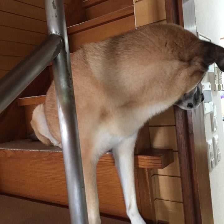 D9e22f97 6970 479f 80b8 bf029fd7f384