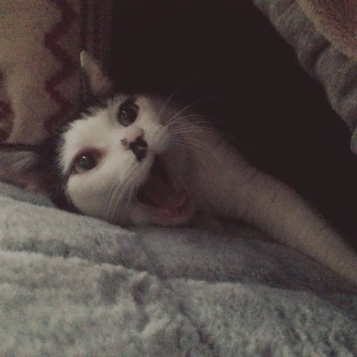 D9e339ed eb1b 48f8 806f fdf7e80de889