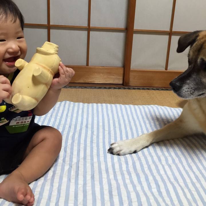 D9e37a3d 863b 47a6 801c 946516e0d545