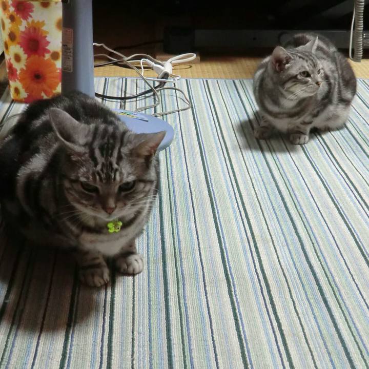 D9e5678b 99c7 4aba 9187 f97954890c3f