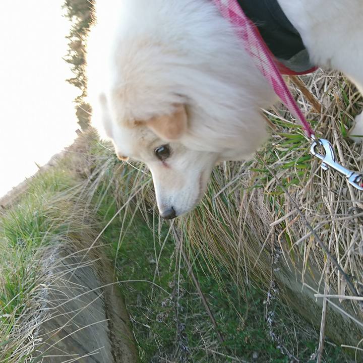 D9e5ad1d 9725 4094 928a a6515d94bce8