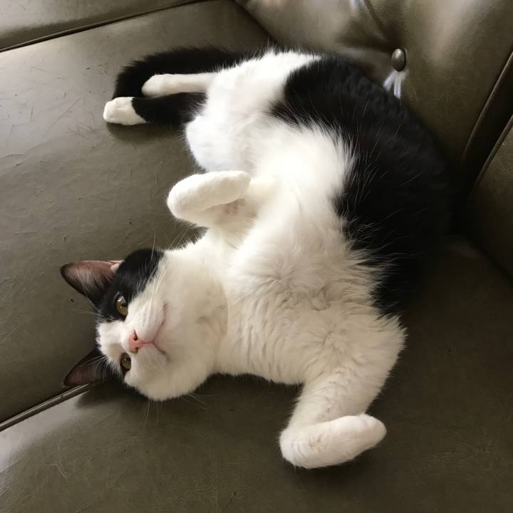 D9e5bb2c 338d 4547 8eca 029a9979664d