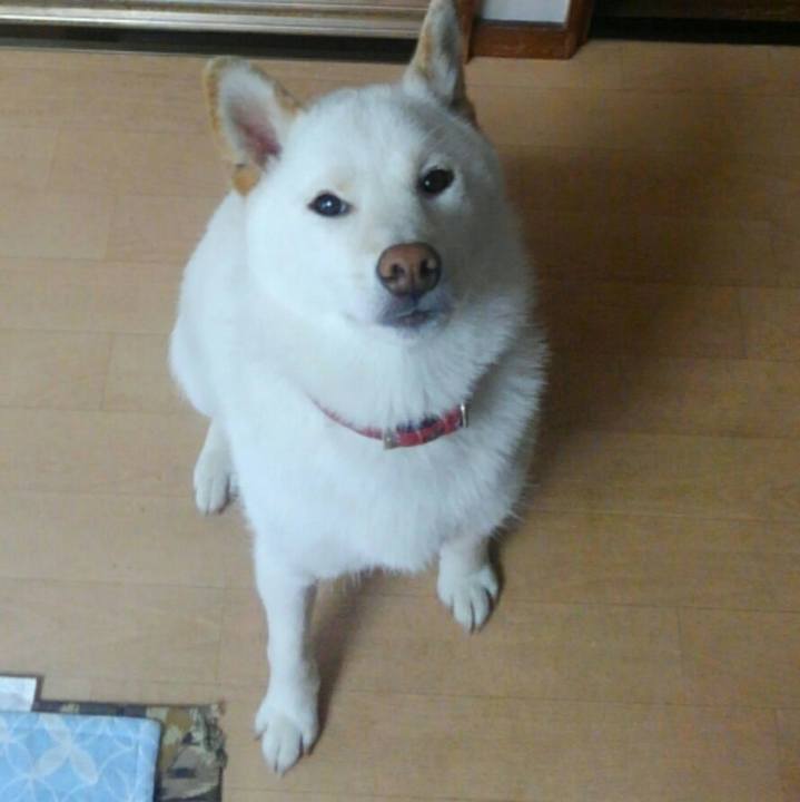 D9e5cef7 7aaf 4271 802c b8f396209eae