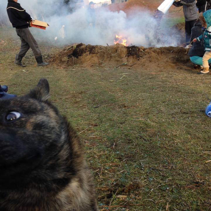 D9e723a9 486c 46bc 8f41 f61b19606362