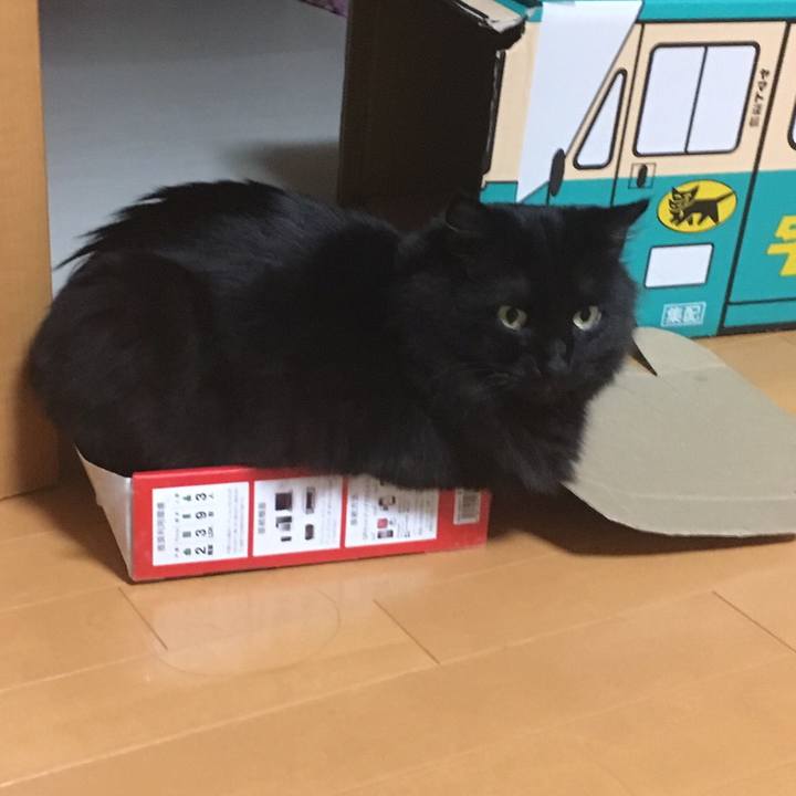 D9e7646d a433 4475 b0c2 cc8ff2f303fb