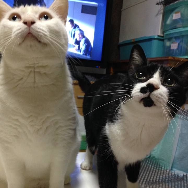 D9e772bf 1021 4204 8db8 3128624db924