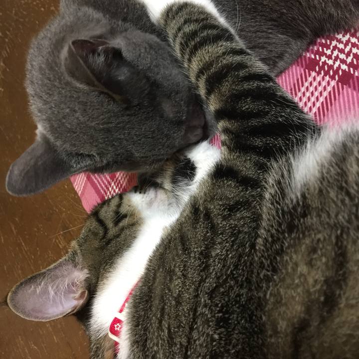 D9e7ed73 1b2a 4464 a02a 6432eb943a58