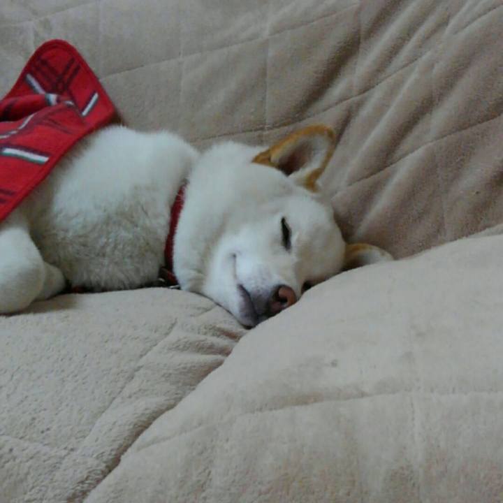 D9e800b8 a4d3 44b1 9962 612a35022aa8