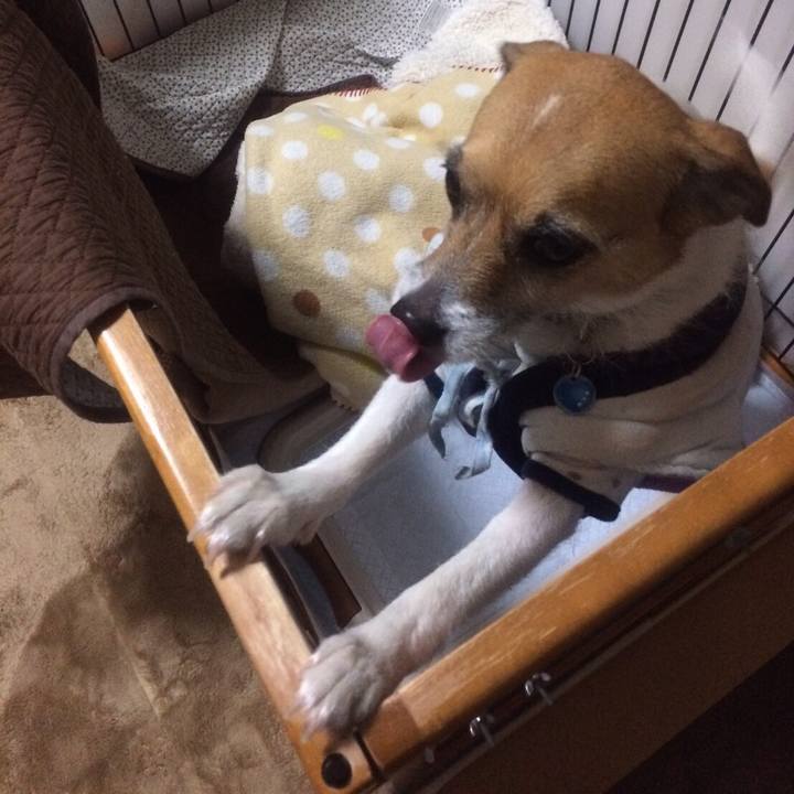 D9e8011c 03eb 4f11 9507 a47d77cdeac3