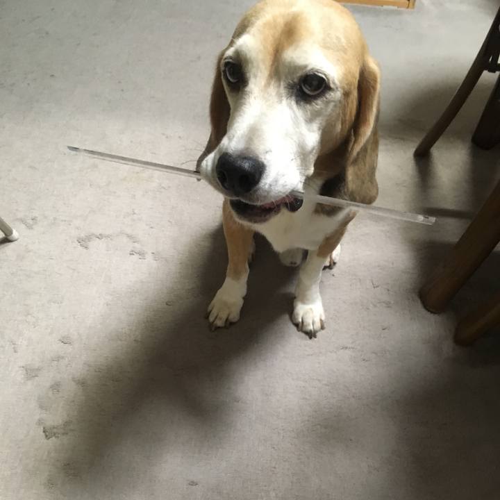 D9e82f15 ec52 4203 bb4b bf52e109ead7