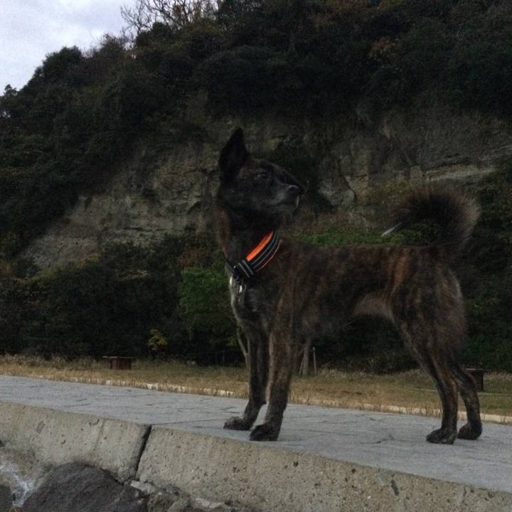 D9e8eb33 2efd 418f 94f8 b893771dea7d