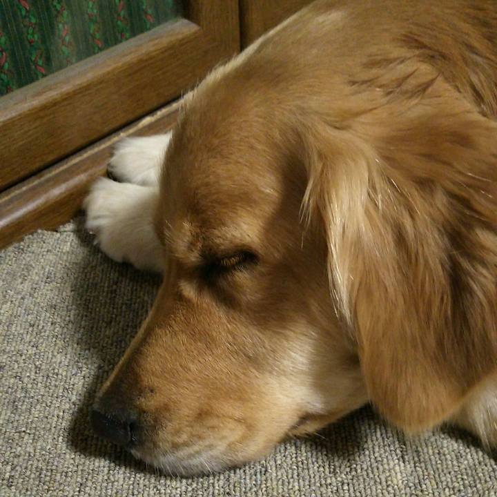 D9e920fb 84d7 4813 bc19 9516a912e769