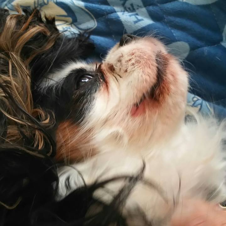 D9e93a40 4976 4cb8 b5ba b13792470e71