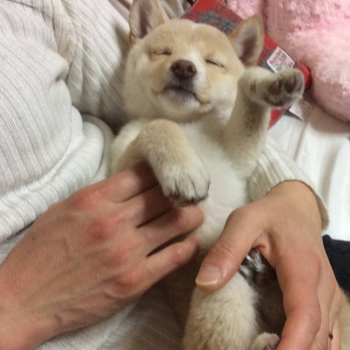 D9e9d342 4b0d 43c8 aa52 4df5d0674475