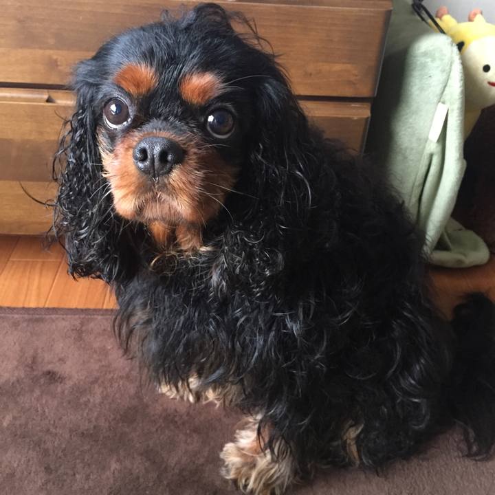 D9ea22b4 f4b3 44aa b4c8 f60be8cbd500