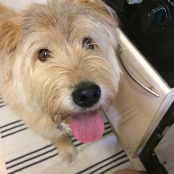 D9eac402 5fd6 423d 8327 7c52f04e1574